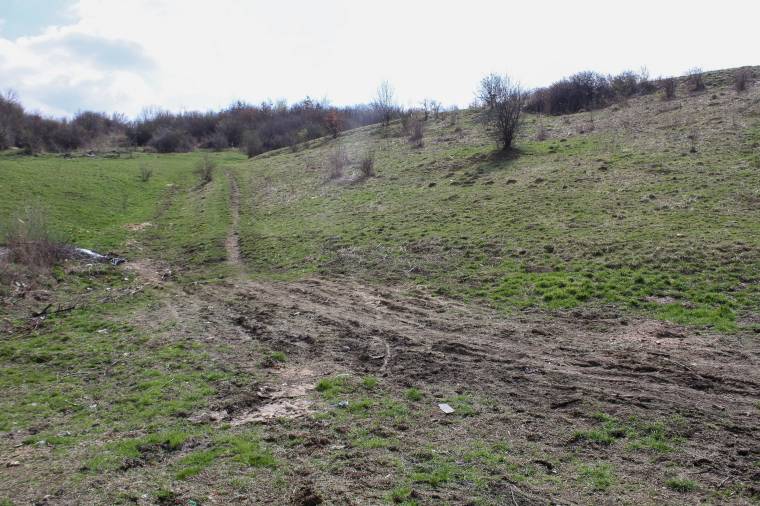 Ne rakjunk bármit a kosarunkba