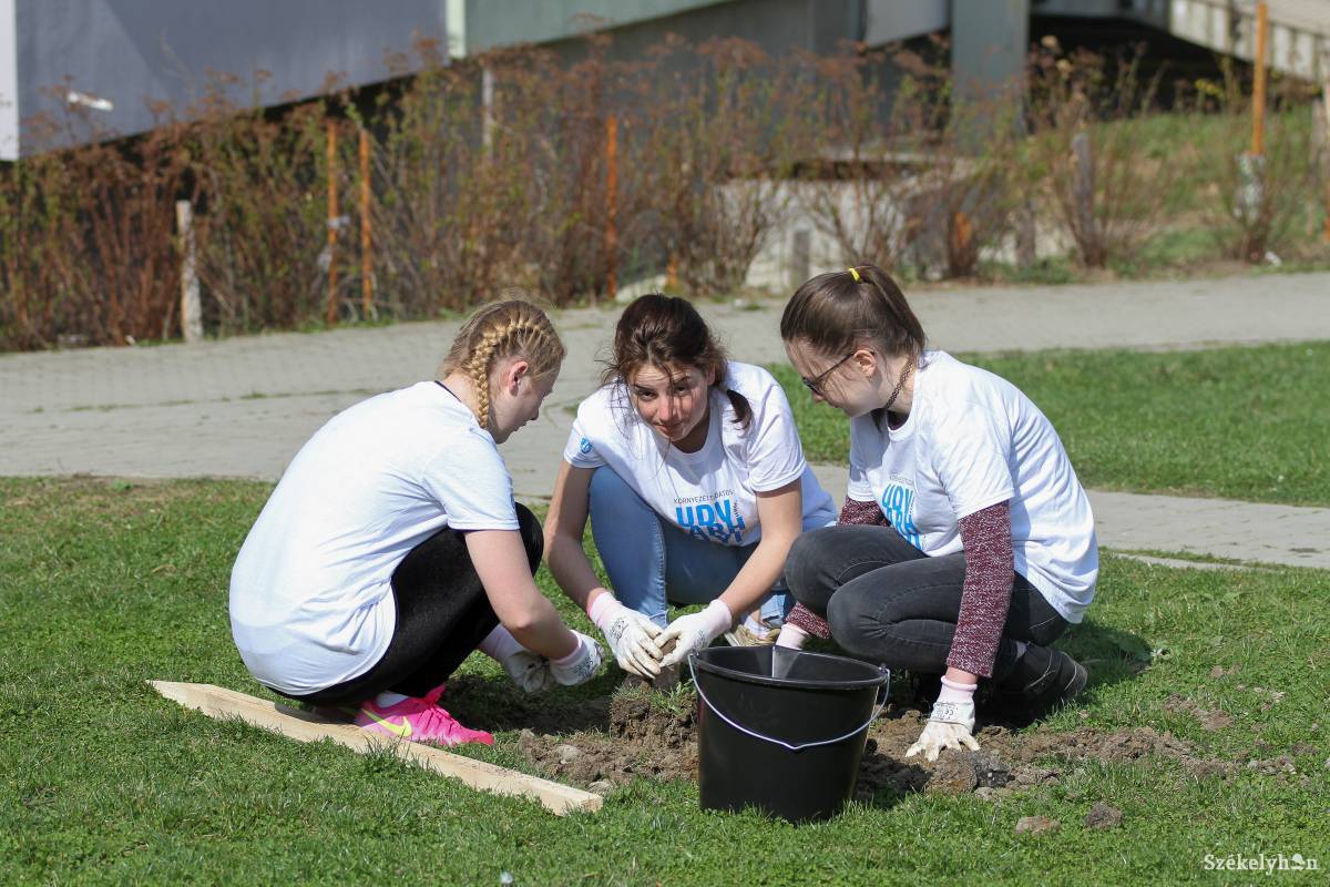 &bullet;  Fotó: Pál Árpád