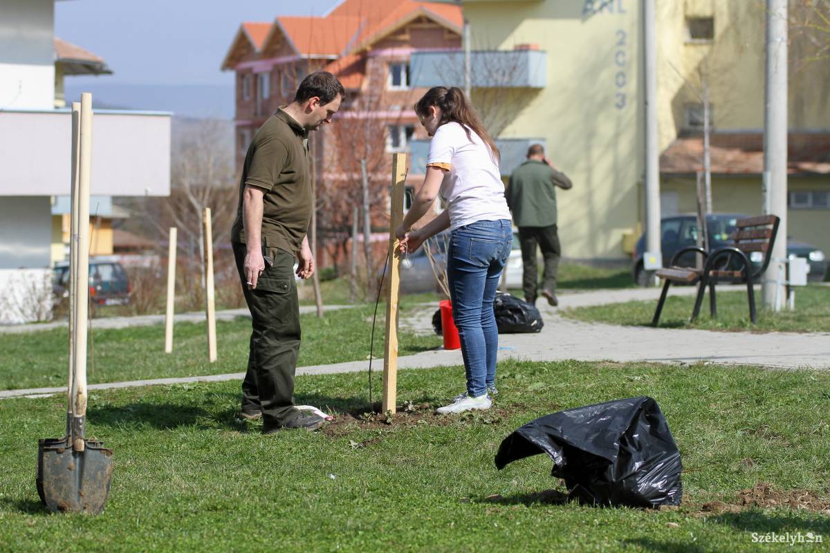 •  Fotó: Pál Árpád