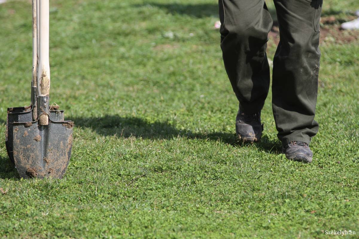 Csemeteültetési kalákával is segítenek a szárhegyi családnak. Illusztráció &bullet;  Fotó: Pál Árpád