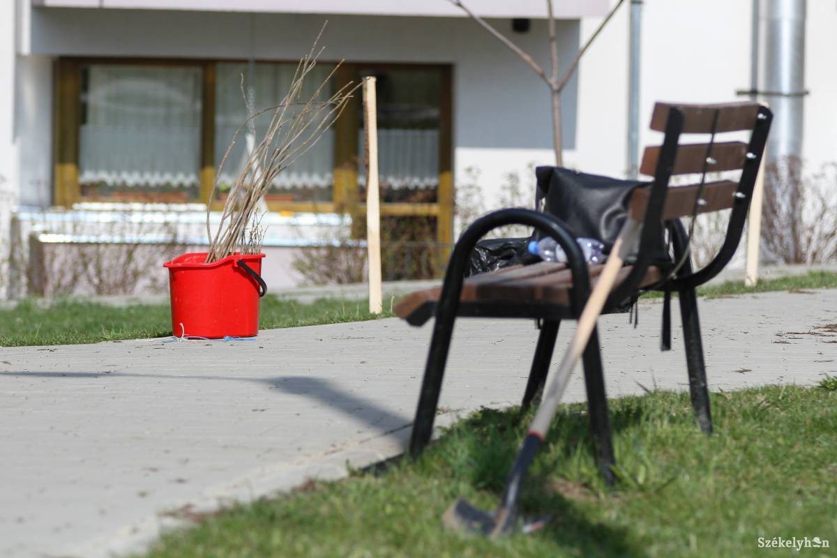 •  Fotó: Pál Árpád