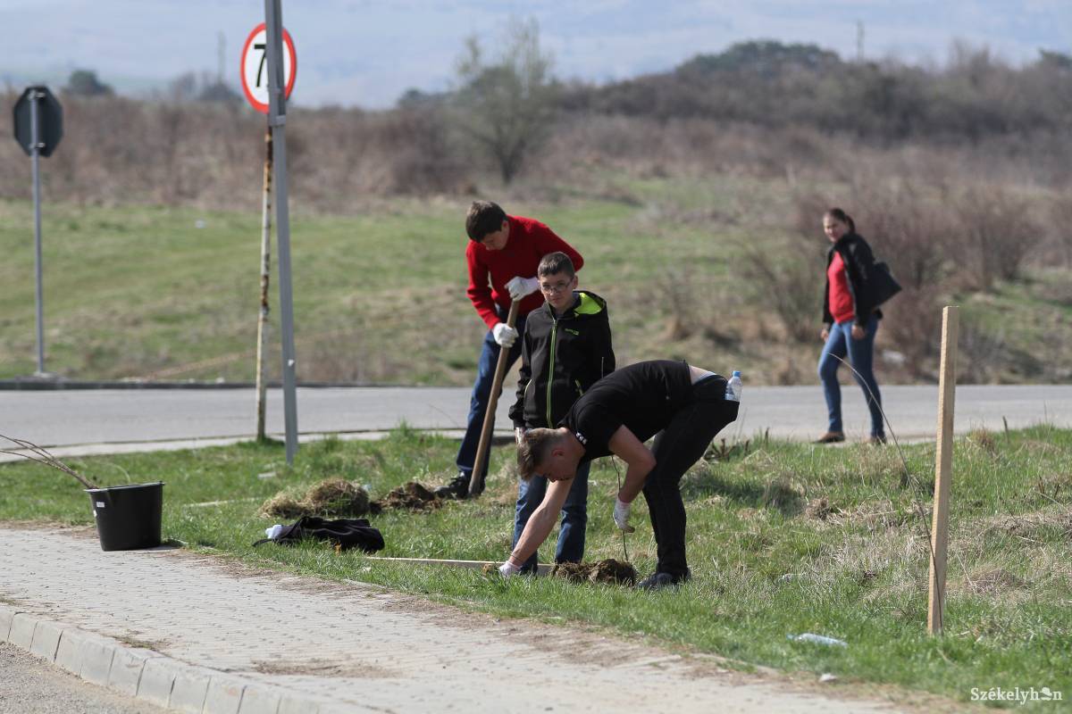 •  Fotó: Pál Árpád