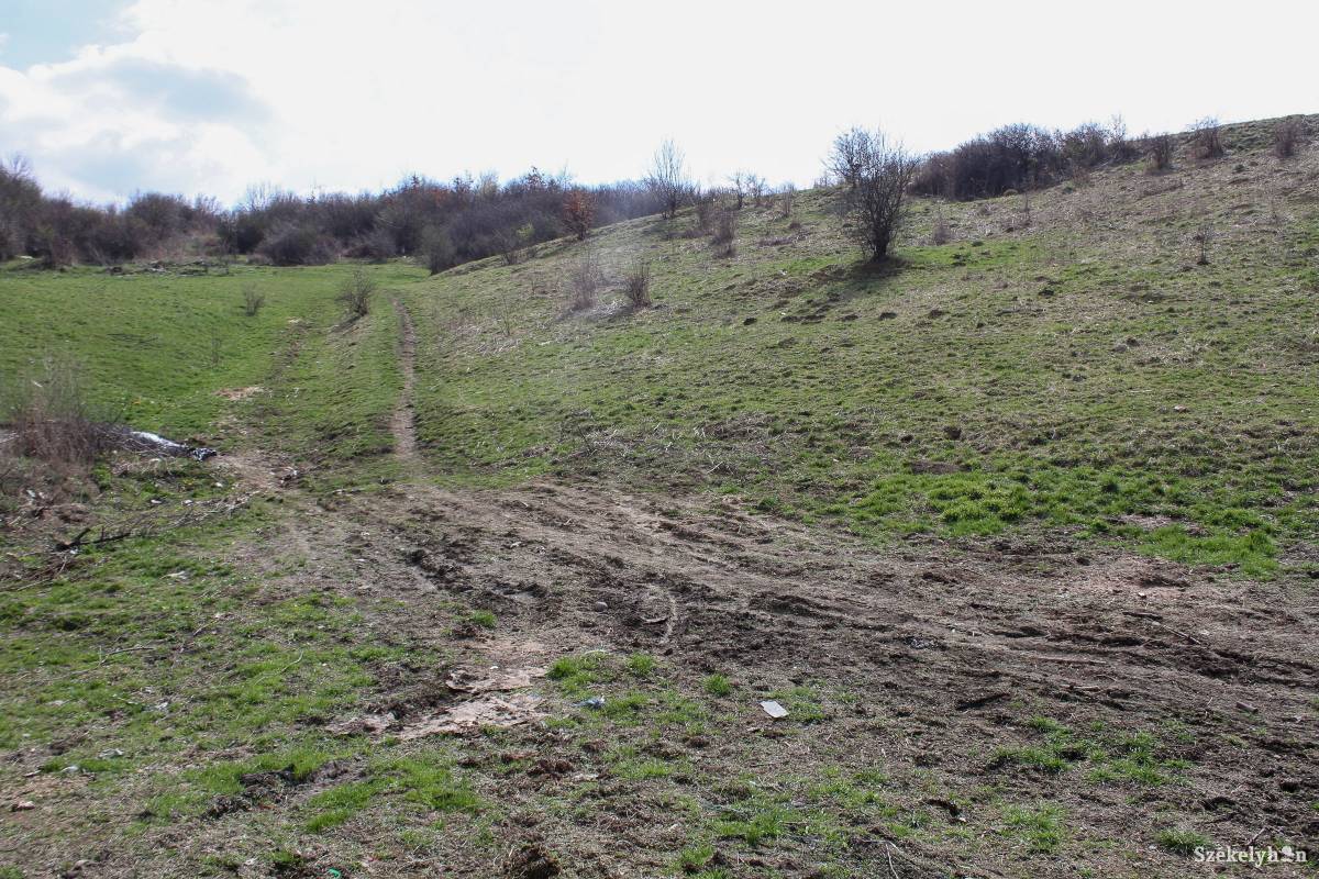 &bullet;  Fotó: Pál Árpád