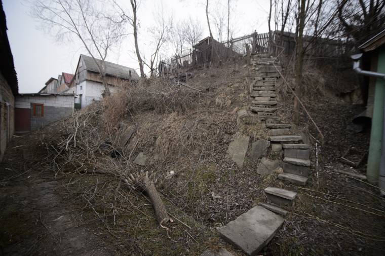 Megbotránkoztató magánakció: metszés ürügyén csonkítás