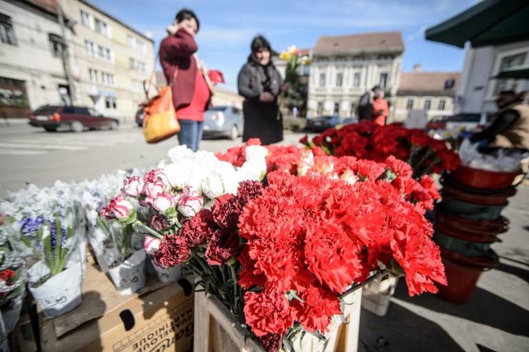 „Ameddig nagyvállalatok mennek csődbe, addig a virágárus ne panaszkodjon”
