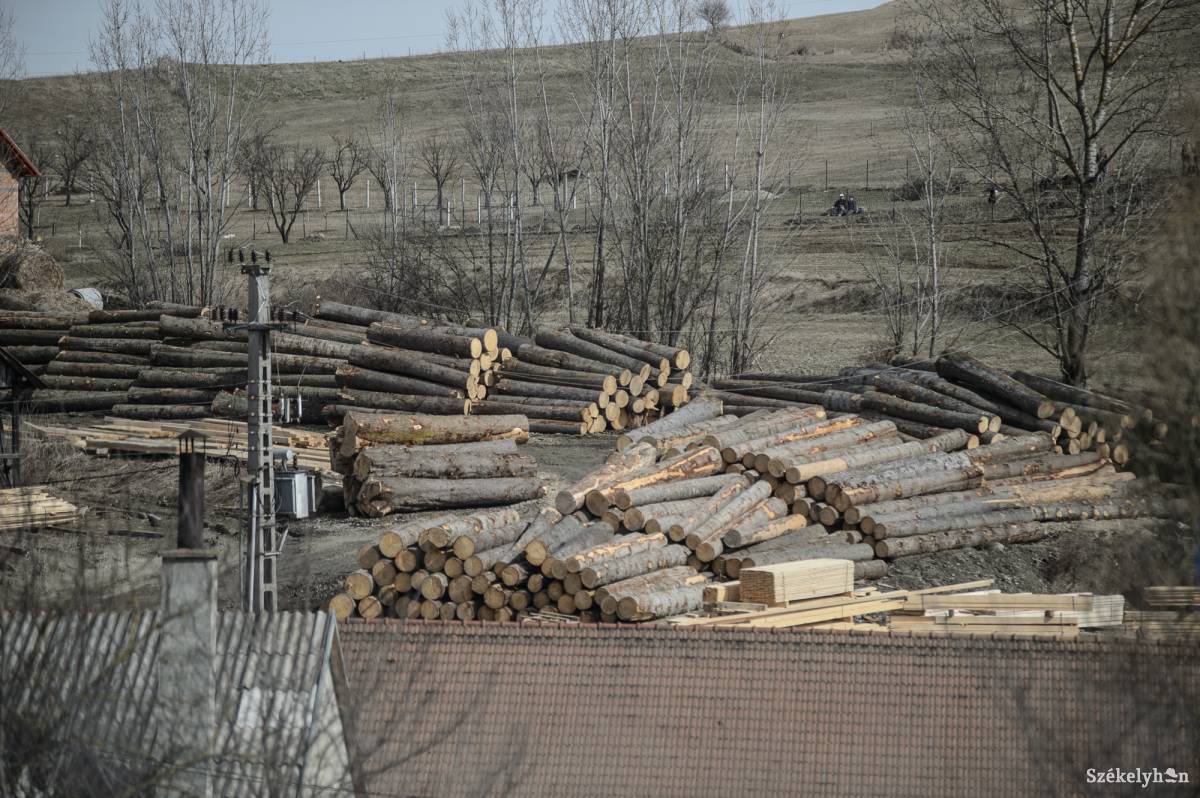 Az ellenőrzések tovább folytatódnak, ígéri a környezetőrség vezetője •  Fotó: Barabás Ákos