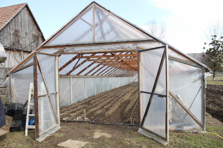 Fóliával ösztönzik a jeddi őstermelőket