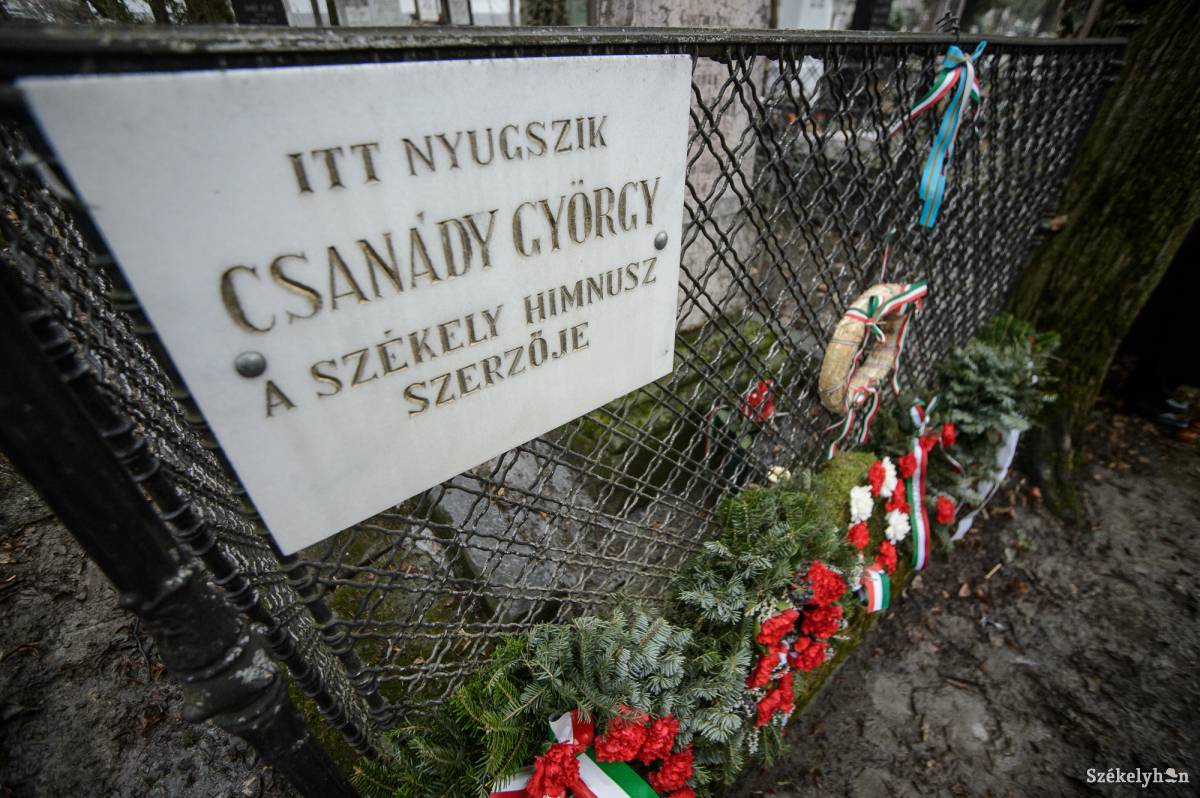 A temető helyett egy méltó helyszínen emlékeznének a székelyudvarhelyi szerzőre •  Fotó: Barabás Ákos
