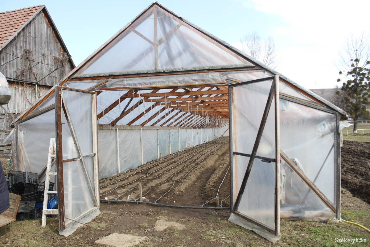 A támogatás megszerzésének egyetlen feltétele van: aki megépíti a melegházat, annak jeleznie kell a községházán, amely a munkálatok megtekintése után leszállítja a fóliát &bullet;  Fotó: Pál Árpád
