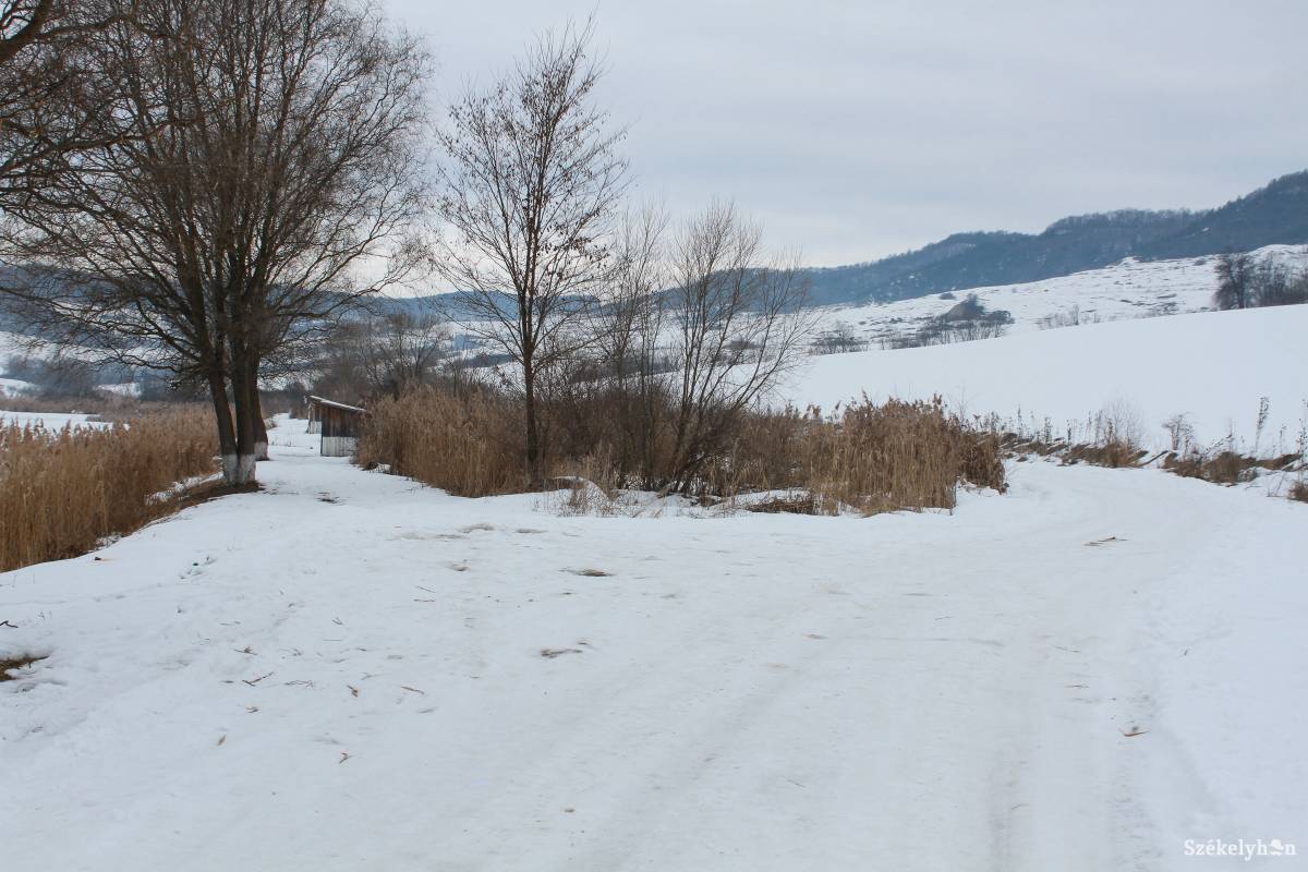 •  Fotó: Pál Árpád