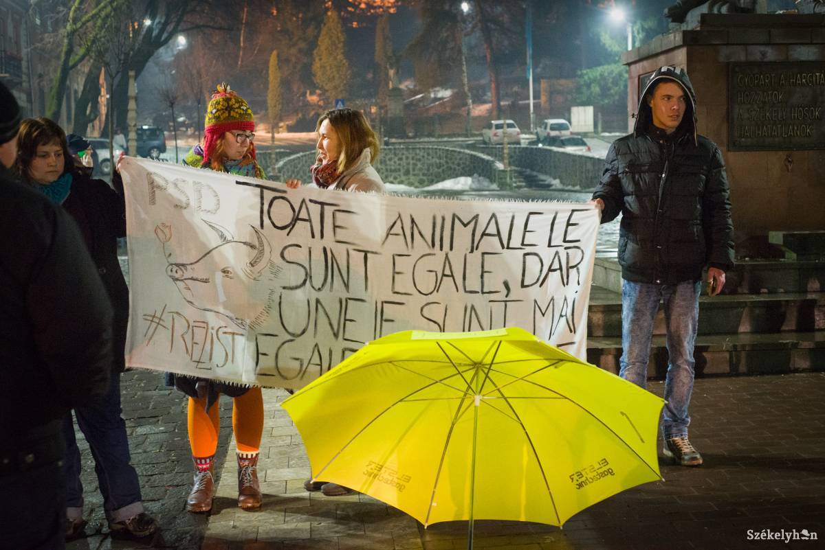 •  Fotó: Dávid Anna Júlia