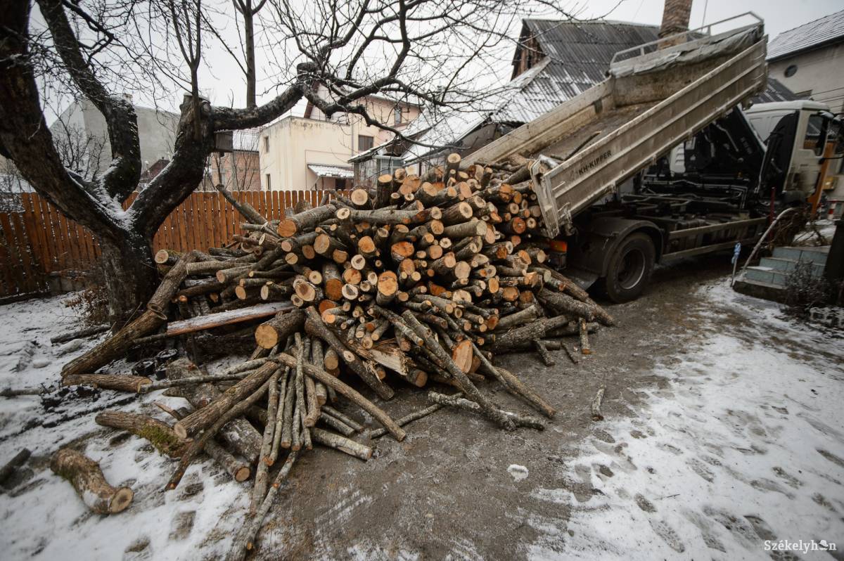 A vidéki iskoláknál nem volt gond a tűzifa beszerzésével •  Fotó: Barabás Ákos