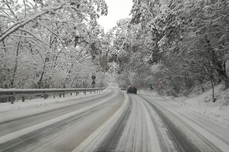 Egy sávon halad a forgalom az úttestre dőlt fák miatt
