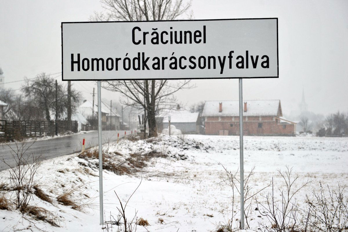 •  Fotó: Beliczay László