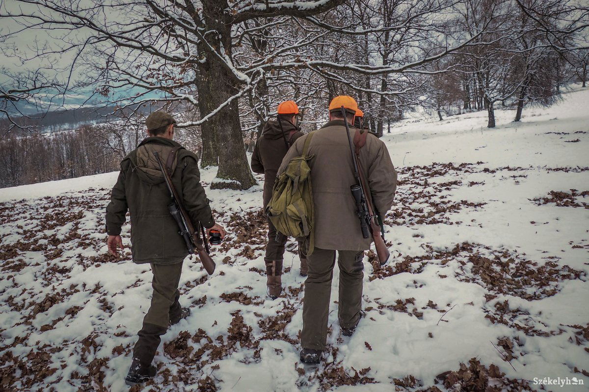 Képünk illusztráció •  Fotó: Fülöp-Székely Botond