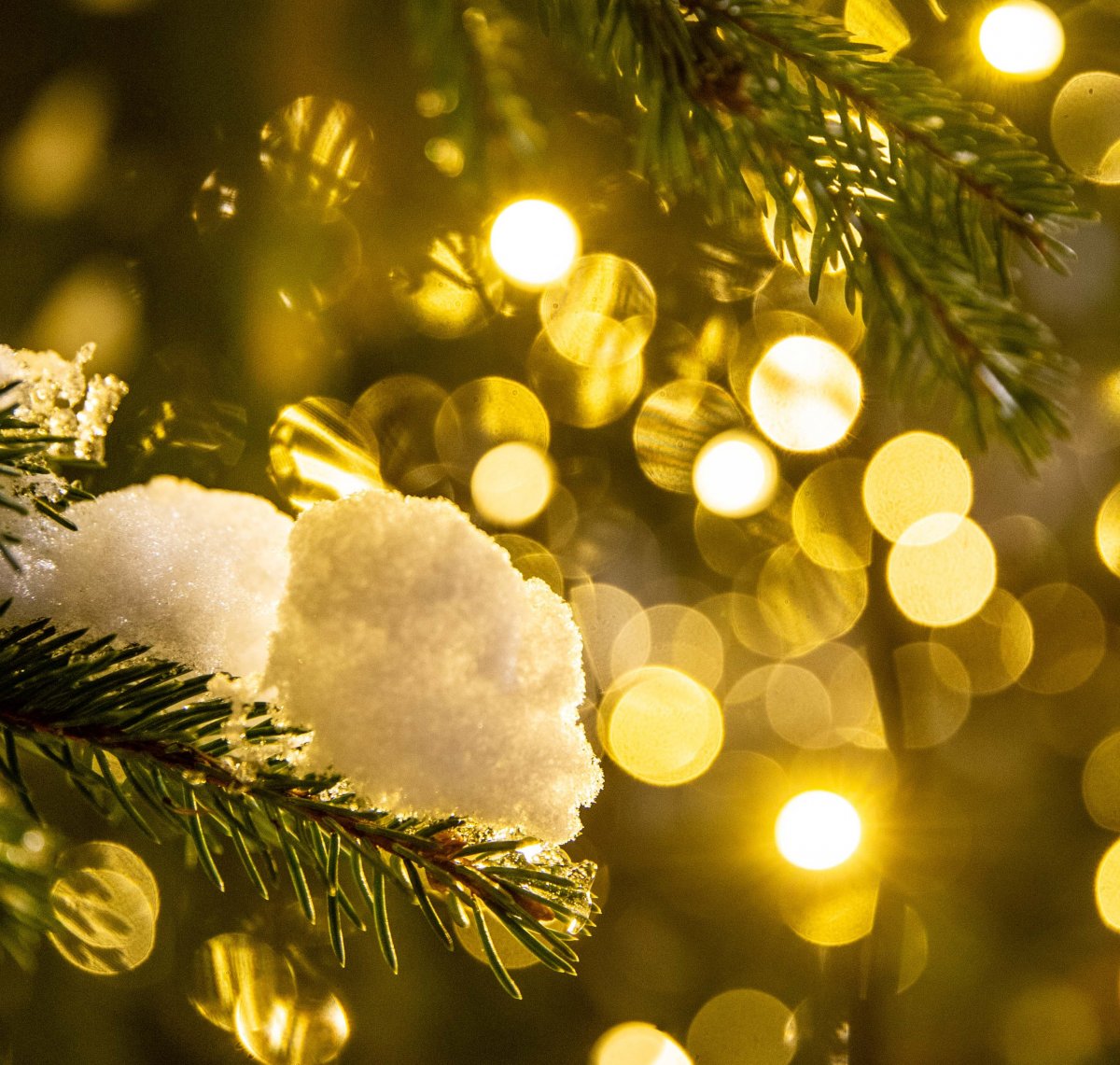 • Fotó: Barabás Ákos