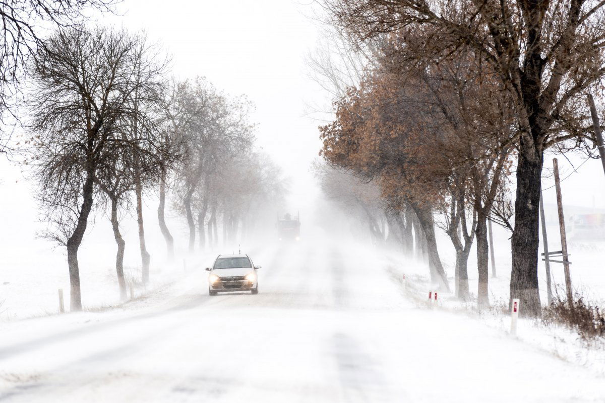 •  Fotó: Veres Nándor