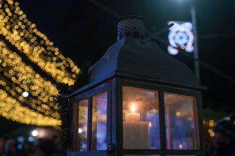 Némileg szigorítják a helyi termelők vásárára való jelentkezést Székelyudvarhelyen