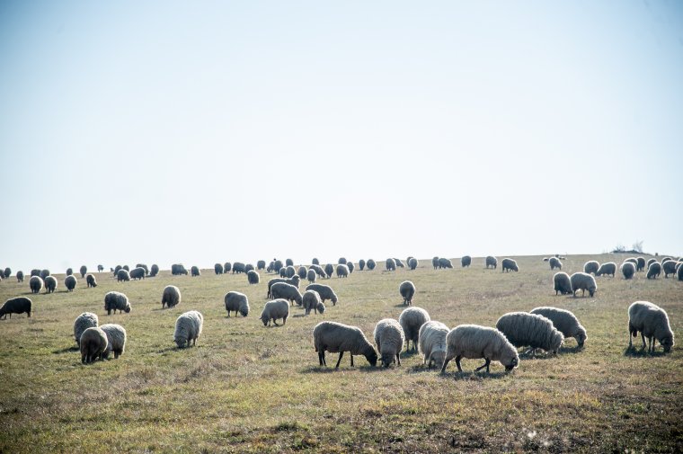 Befejezés előtt az utolsó üzemtervek, nincsenek veszélyben a mezőgazdasági támogatások