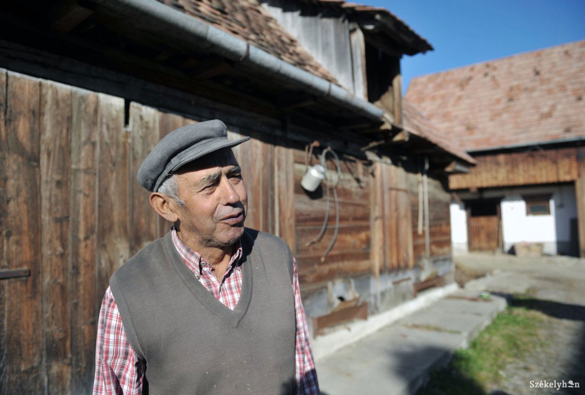 •  Fotó: Beliczay László