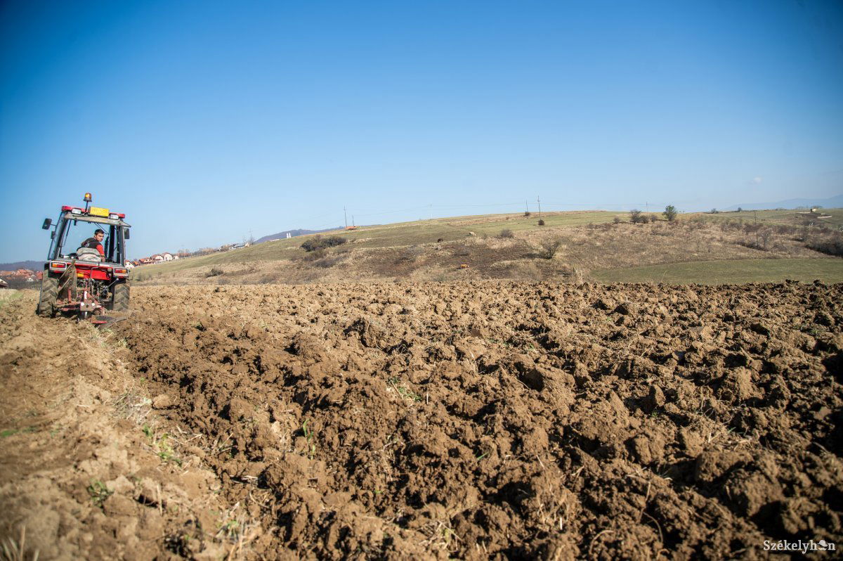 A gazdák egy része idén nem is kell elhagyja a települést a támogatásigénylés érdekében &bullet;  Fotó: Barabás Ákos