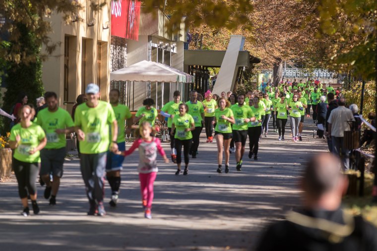 Fuss Neki! járványidős megoldásokkal