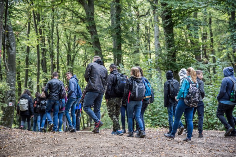 Szabályozták az erdőben barangolást, de nehéz betartatni