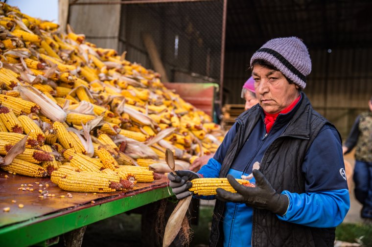 Gazdakárosító miniszteri elszólás: az APIA cáfolja, hogy 23 euróval növekedne a hektáronkénti területalapú támogatás