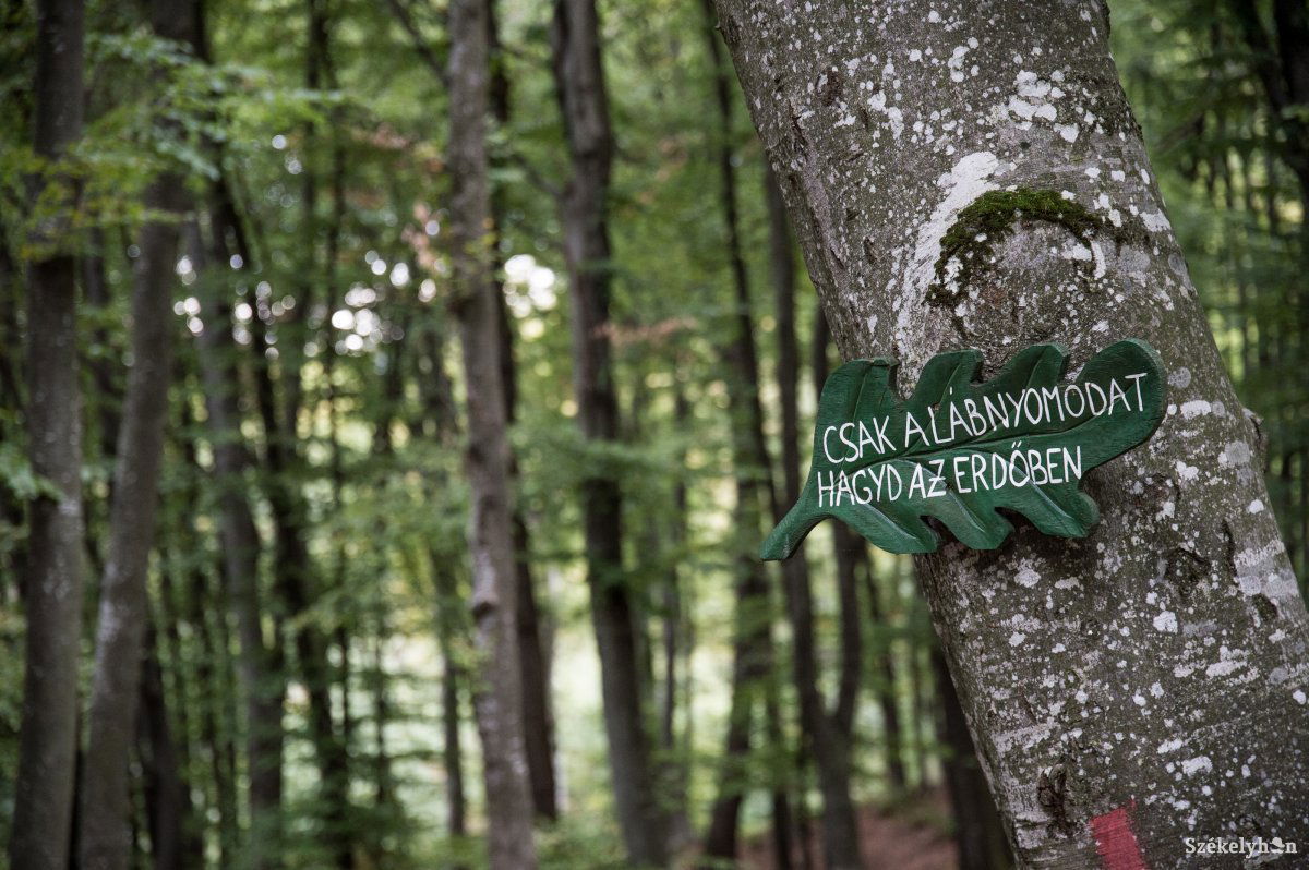 •  Fotó: Barabás Ákos