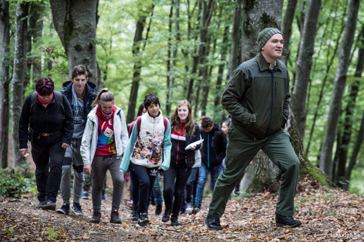 Bepillantás az erdészek mindennapjaiba. A Budvár-dombon sétálva okulhattak a diákok • Fotó: Barabás Ákos