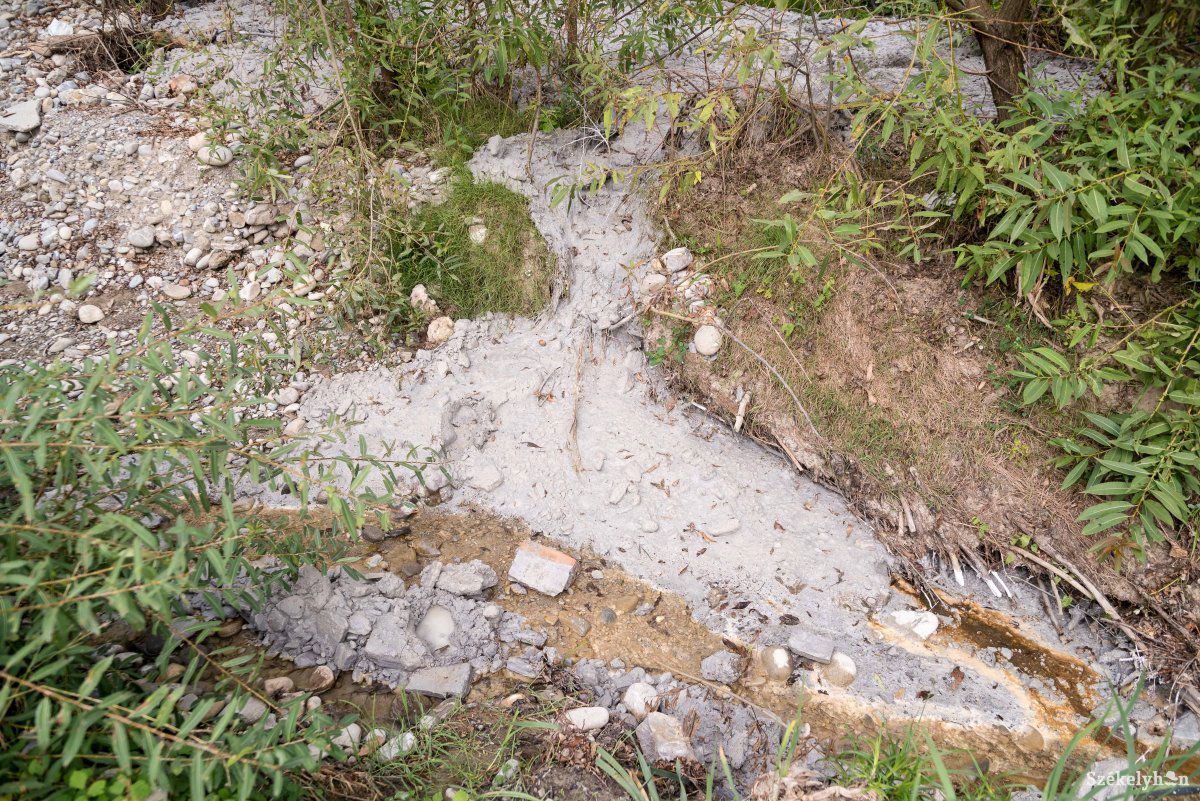 •  Fotó: Veres Nándor