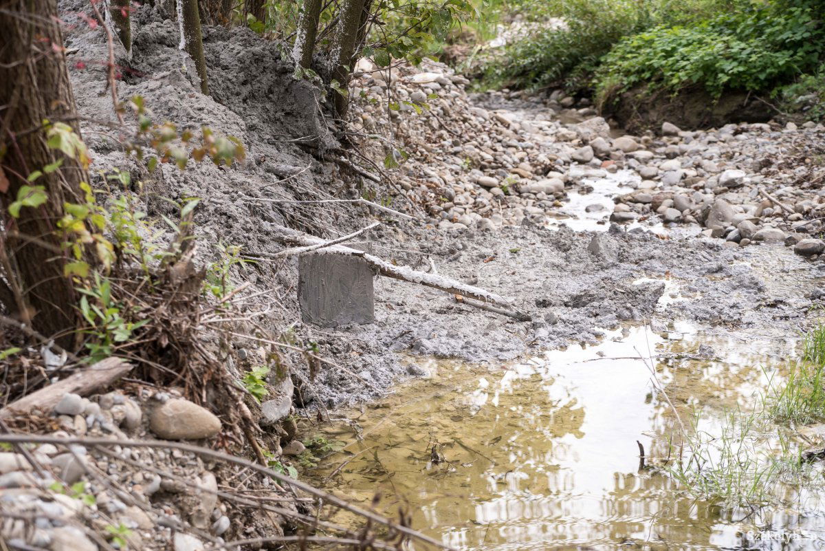 •  Fotó: Veres Nándor