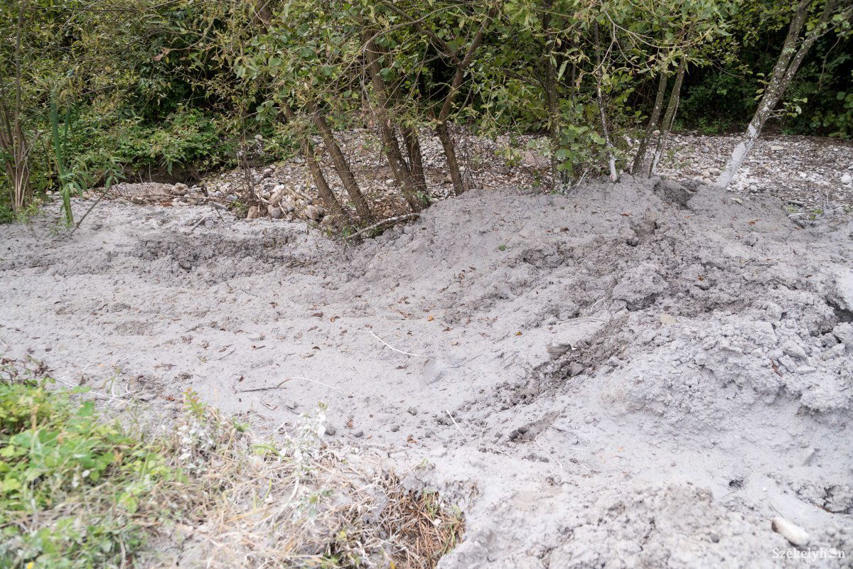 •  Fotó: Veres Nándor