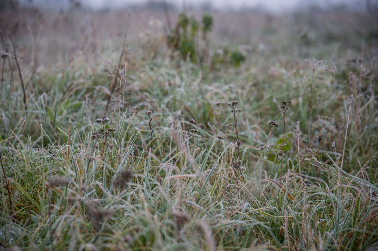 Erdély-szerte fagypont alá süllyedt a hőmérséklet szerda hajnalban