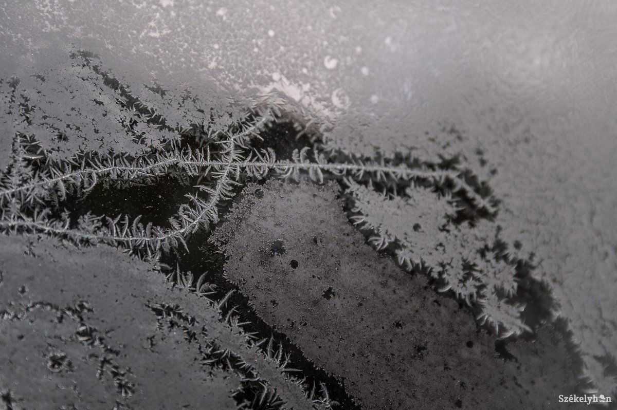 &bullet;  Fotó: Barabás Ákos