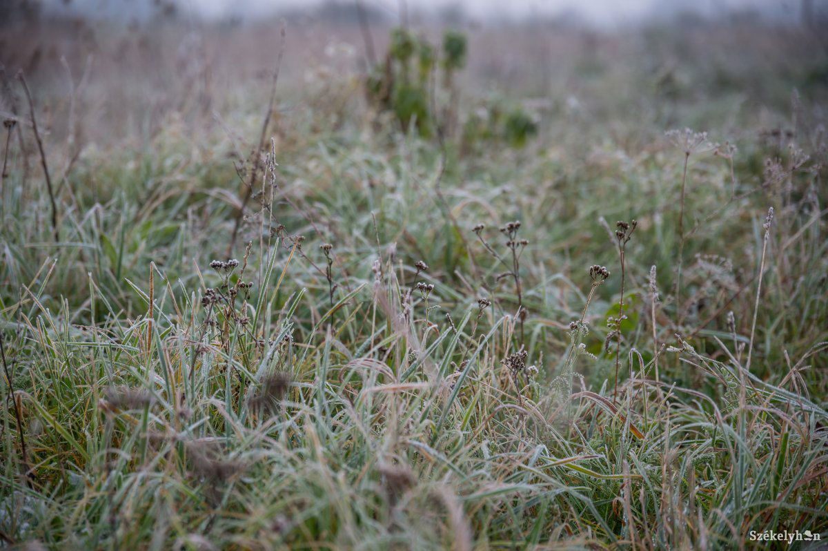 &bullet;  Fotó: Barabás Ákos