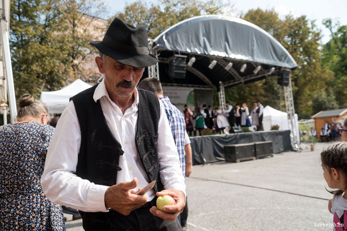 &bullet;  Fotó: Veres Nándor