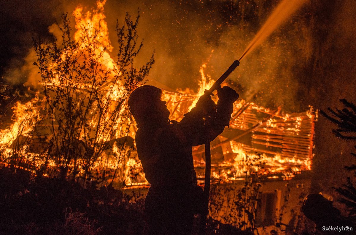Képünk illusztráció •  Fotó: Gecse Noémi