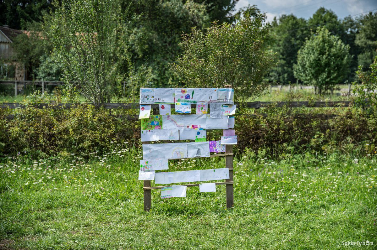 Az aktív kikapcsolódás részét képezték a kézműves foglalkozások. Az aznapi rajzokat bárki megtekinthette &bullet;  Fotó: Barabás Ákos