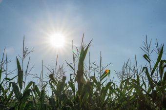 Várhatóan kedd és szerda lesznek az év legmelegebb napjai