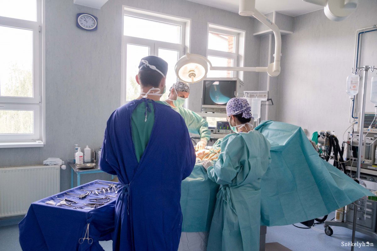 Kétoldalú haszon. Több időt és figyelmet szánhatnak a rezidens képzésére leendő munkahelyén. Képünk illusztráció •  Fotó: Veres Nándor