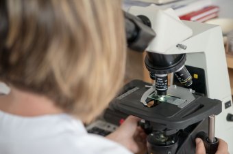 Útmutató az egészségbiztosítási rendszerben elérhető szolgáltatásokról