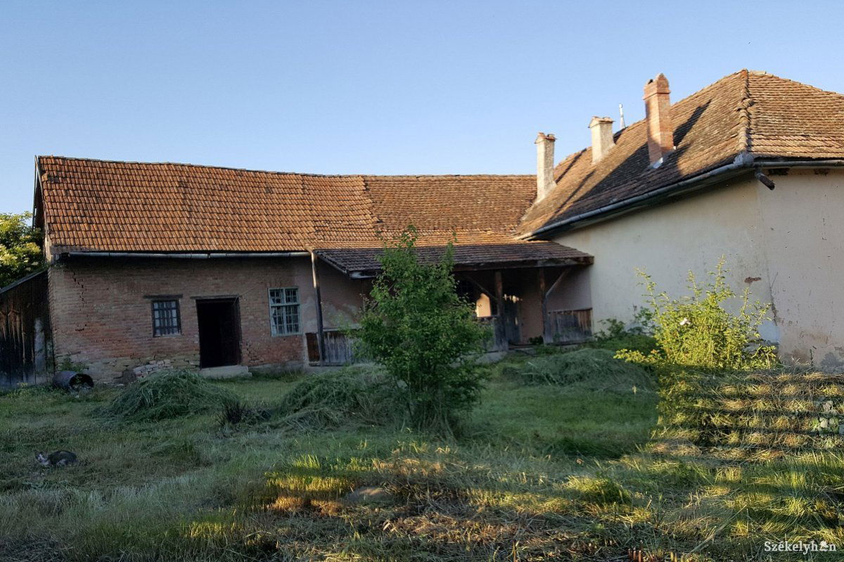 •  Fotó: Kosztolányi Kata