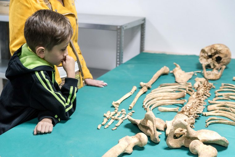 Múzeumok éjszakája: sok apróból egy egész