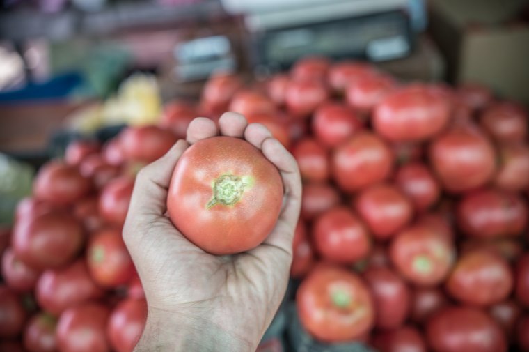Megéri 70-80 lejt adni az első hazai paradicsom kilójáért?