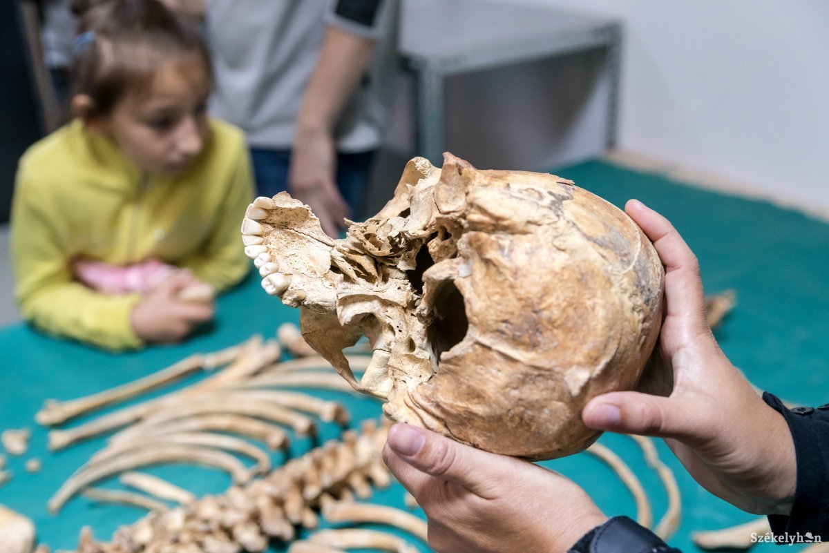 Életkörülményekről, sérülésekről, betegségekről „mesélnek” a csontok •  Fotó: Veres Nándor