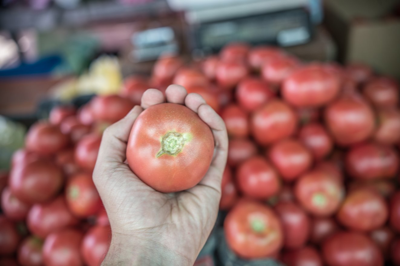 Megéri 70-80 lejt adni az első hazai paradicsom kilójáért?