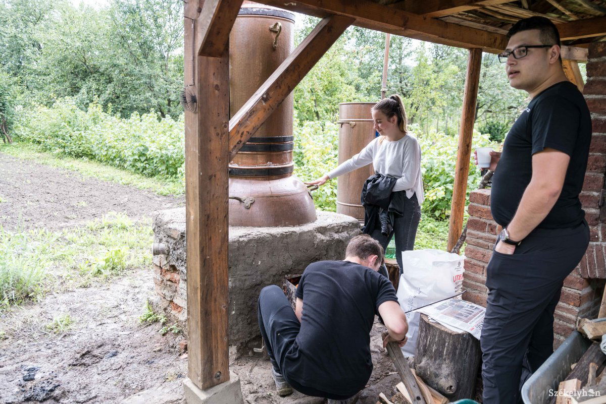 •  Fotó: Veres Nándor