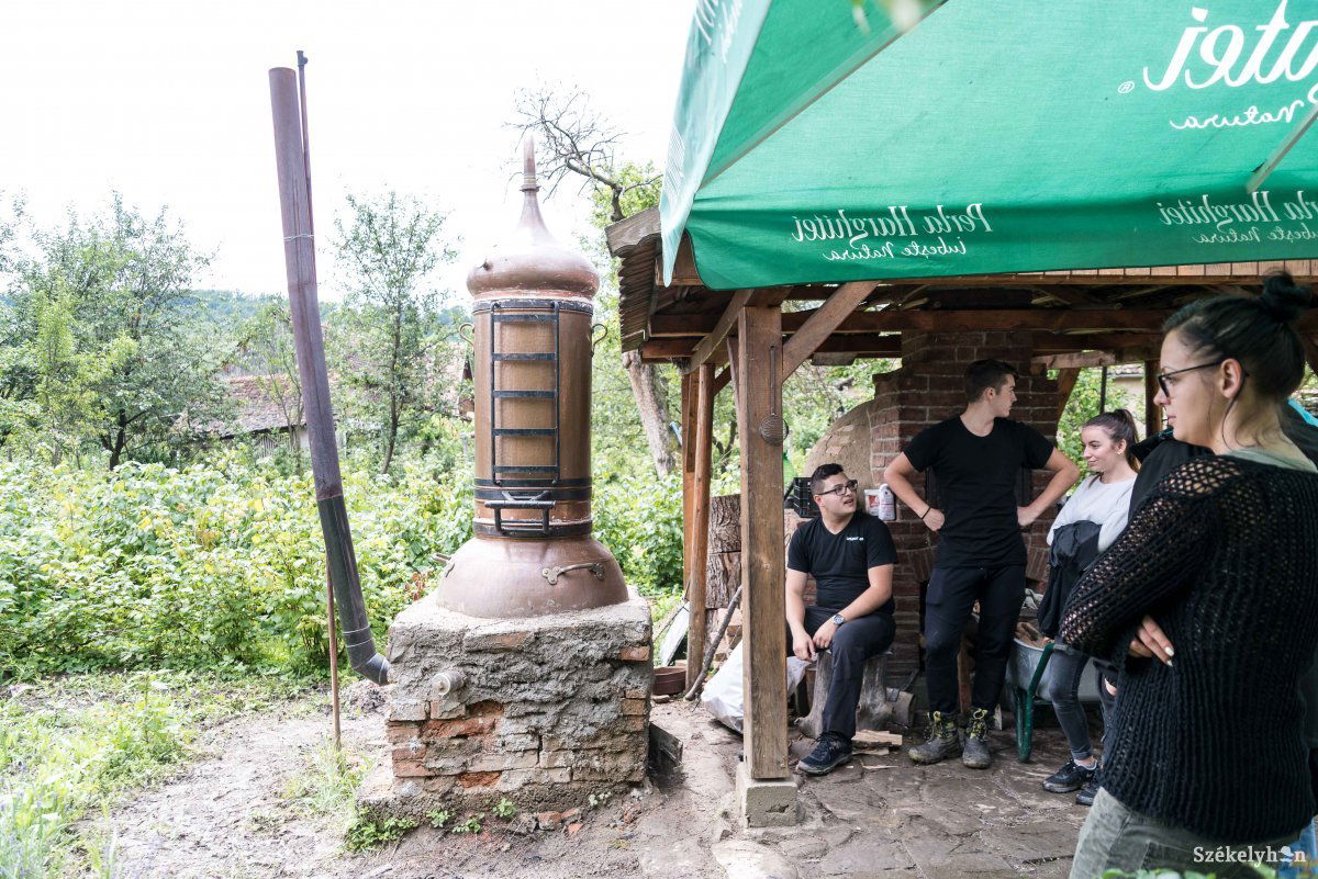 •  Fotó: Veres Nándor