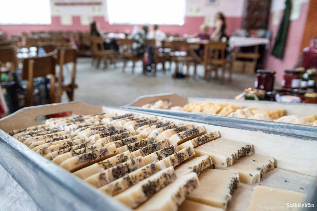 •  Fotó: Veres Nándor